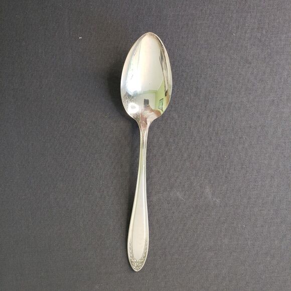 Oneida Bridal Wreath 1915 Community Silverplate Place Oval Soup Tablespoon - Picture 1 of 5